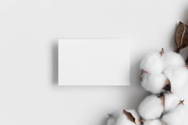 Beyaz kartvizit, 85x55mm kurumuş pamuk dallı..