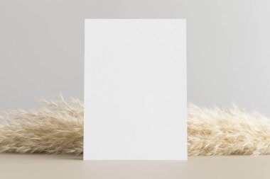 Davetiye beyaz kart maketi ve pampa çimen süslemesi. 5x7 oranı, A6, A5 'e benziyor..