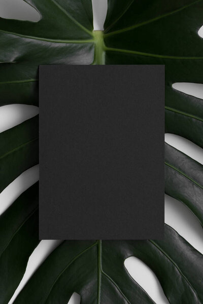 Черный макет приглашения с листком монстры. Коэффициент 5х7, аналогичный А6, А5.