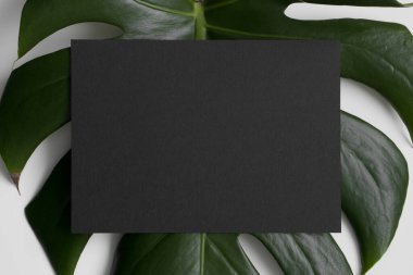 Davetiye, üzerinde canavar yaprağı olan siyah kart modeli. 5x7 oranı, A6, A5 'e benziyor..