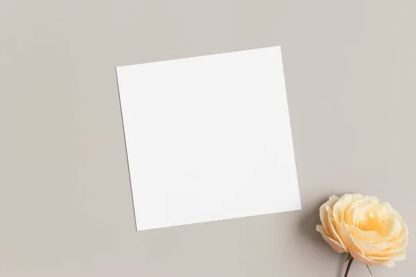 Mockup Carta Quadrata Invito Con Una Rosa Tavolo Beige — Foto Stock