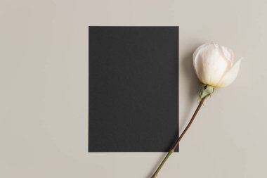 Davetiye siyah kart modeli ve bej bir masada bir gül. 5x7 oranı, A6, A5 'e benziyor..