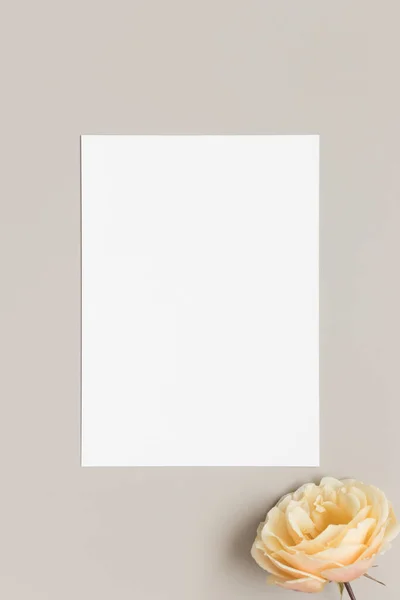 Davetiye Beyaz Kart Modeli Bej Bir Masa Üzerinde Bir Gül — Stok fotoğraf