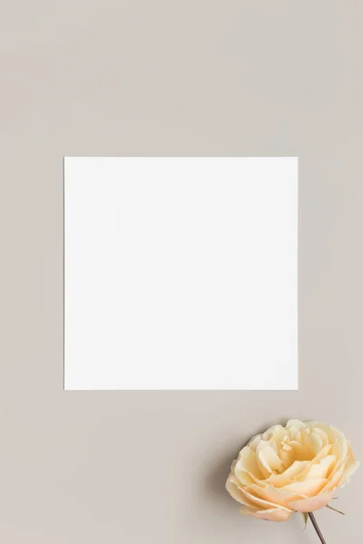 Invitación Tarjeta Cuadrada Maqueta Con Una Rosa Sobre Una Mesa — Foto de Stock