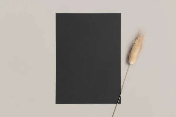 Black Invitation Card Mockup Lagurus Beige Table 5X7 Ratio Similar — Stock Photo, Image