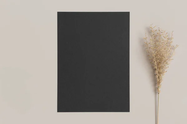 Bej Bir Masanın Üzerinde Kurumuş Çimen Süslemesi Olan Siyah Davetiye — Stok fotoğraf