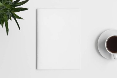 Bir fincan kahve ve beyaz masanın üzerinde aloe vera bitkisi olan dergi modeli..