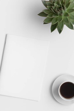 Bir fincan kahve ve beyaz masada echeveria bitkisi olan dergi maketi..