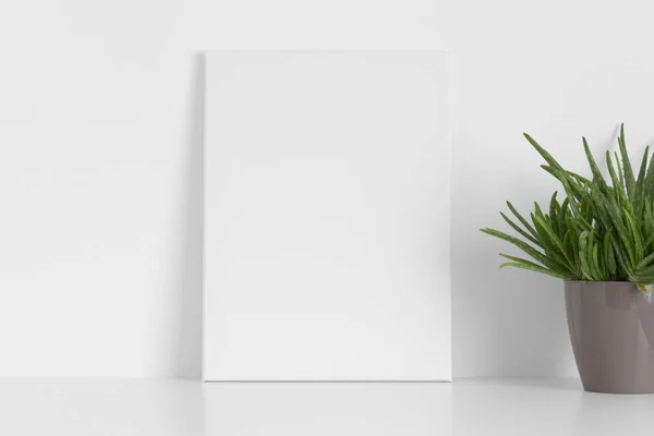 Maqueta Lona Blanca Con Una Planta Aloe Vera Sobre Mesa — Foto de Stock