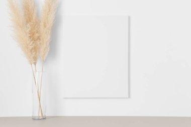 Duvarda pampa süslemeli beyaz tuval..