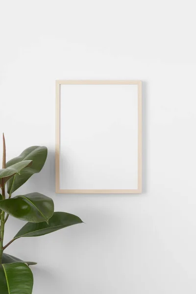 Modèle Cadre Bois Sur Mur Avec Une Plante Ficus — Photo