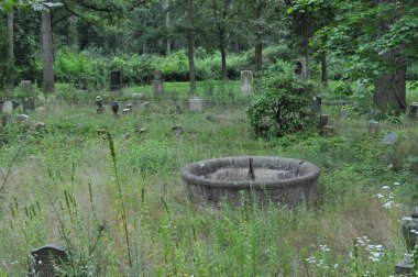 Tarihi bir mezarlıktaki eski mezar taşları, çimlerin arasında terk edilmiş mezarlar.