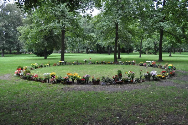 flowers in the park in the cemetery bouquets arranged on the lawn among the trees