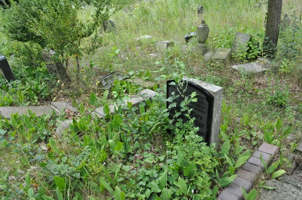 Vieilles Pierres Tombales Dans Cimetière Historique Tombes Abandonnées Milieu Herbe — Photo