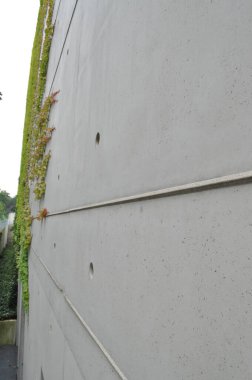 beton duvar cephesi dokusu gri cephe yakın plan yosun