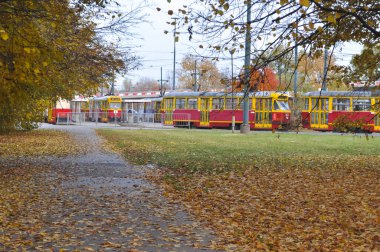 Tramvay istasyonundaki eski kırmızı ve sarı tramvaylar Varşova Polonya 'da sonbaharda ayakta ve bekliyor.