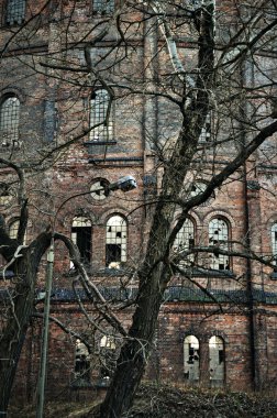 Polonya 'nın Varşova kentindeki eski doğalgaz fabrikasının etrafında birçok penceresi olan terk edilmiş tuğla bina sonbaharda dallar arasında yer alıyor.