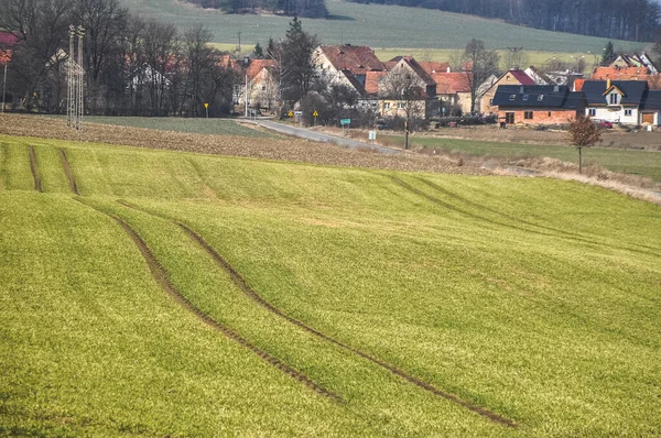 Groene Weide Veld Het Platteland Prachtig Uitzicht Rustig — Stockfoto