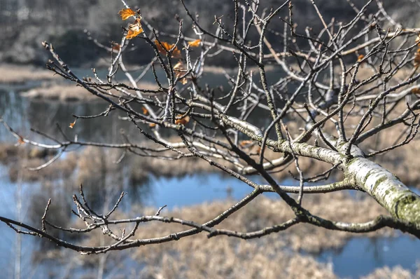 Gammal Övergiven Stenbrott Basalt Gruva Översvämmad Med Vatten Strzegom Polen — Stockfoto