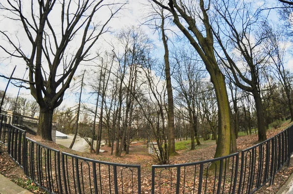 Sentiero Parco Pubblico Alberi Parco Pubblico Senza Foglie Obiettivo Fisheye — Foto Stock