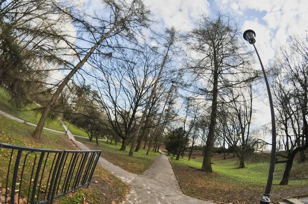 Sentiero Parco Pubblico Alberi Parco Pubblico Foglie Obiettivo Fisheye Autunno — Foto Stock