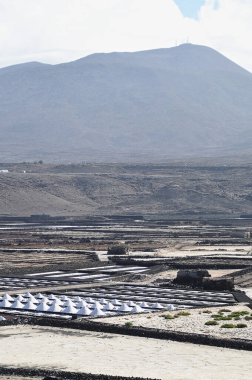 Salinas de Janubio tuz düzlükleri ve tuz tümsekleri;