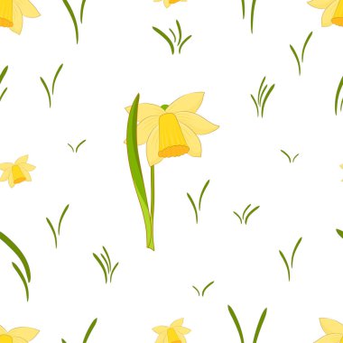 Nergis çiçekli kusursuz desen. Beyaz ve şeffaf arkaplanda bahar ve çiçek dokusu.