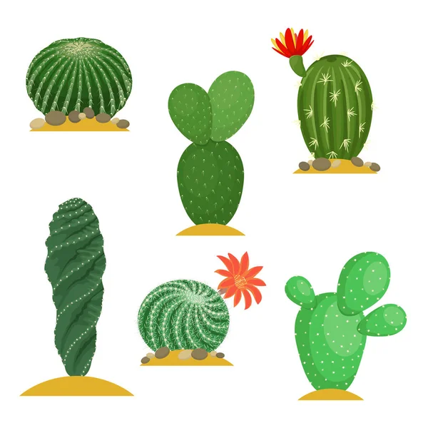 Ensemble Cactus Avec Épines Fleurs Dans Style Plat Illustration Plantes — Image vectorielle