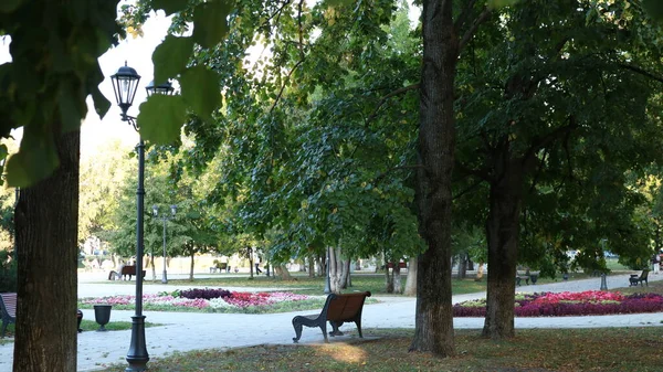 Verlassener Park Ohne Menschen Tag Als Illustration Der Veränderungen Der — Stockfoto