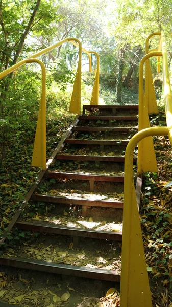 Marches Fer Avec Balustrades Métalliques Jaunes Dans Coin Secret Parc — Photo