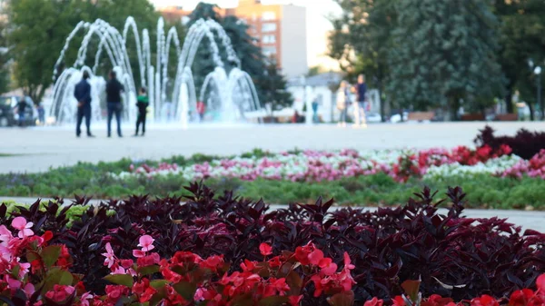 都市公園の景観デザインに明るい色の混合物を持つ庭のベッド背景に人を歩くの噴水とシルエット — ストック写真