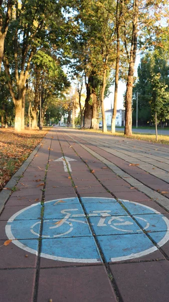 Vicolo Deserto Parco Deserto Fiancheggiato Piastrelle Quadrate Con Impronta Piste — Foto Stock