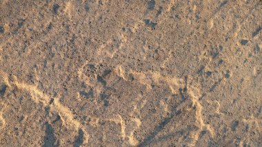 Kaya doğal yapısını süsleyen parlak, yumuşak aydınlatmalı işlenmemiş taştan eşsiz bir rahatlama.