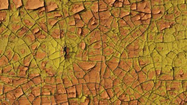 Eski kabuklu boyanın deseni çatlaklardan ve kurumuş katmanlardan oluşan örümcek ağlarıyla aydınlık güneş ışığıyla aydınlatılmış, zamandan ve çevresel etkilerden eskimiş açık kahverengi yağlı boyanın dokusu.