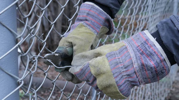 installing and fastening a galvanized mesh to a metal post when creating a fence on a farm or backyard, biting off a wire when attaching a mesh fence using wire cutters in hands wearing thick fabric gloves