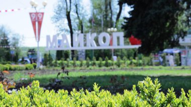 Maykop, Adygea Cumhuriyeti, Rusya - 2 Mayıs 2021: şehrin eğlence parkının girişi olan Maykop 'un bulanık arka planı üzerine şehir parkının taze çalılarını budadı.