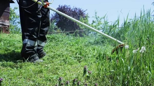 Çim biçme makinesinin bacakları benzin biçme makinesiyle çalışırken, kırsal bir atmosferde çimleri biçerken, bir bahçıvan benzo biçme makinesiyle çimleri biçerken,