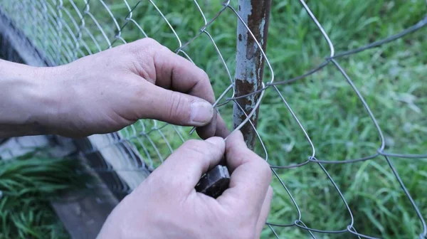 male hands fixing a metal mesh in a farm fence to an iron rack using a wire, installation of a galvanized fence when fencing a rural area close-up of male hands holding a wire for fasteners