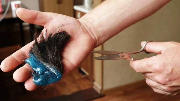 a cut off lock of children\'s hair with a stuck blue slime in a man\'s palm and scissors in the other hand, forced hair cutting with scissors at home due to a child\'s prank