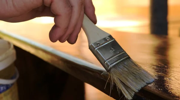 Close Narrow Paint Brush Hand Person Applying Protective Varnish Coating — Stock Photo, Image