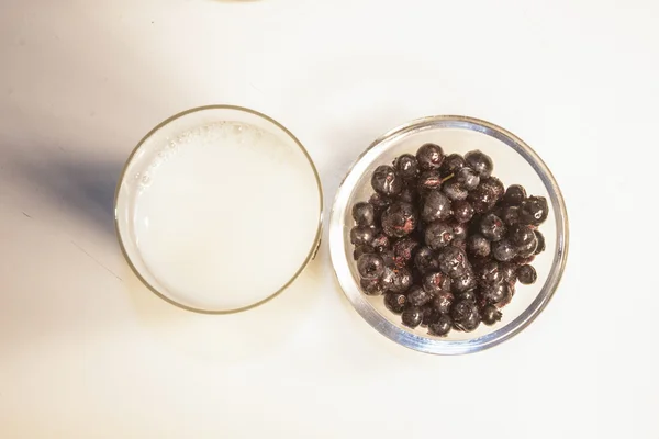 Milk and blueberrie — Stock Photo, Image