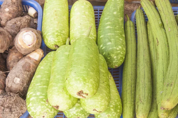 Cucumber — Stock Photo, Image