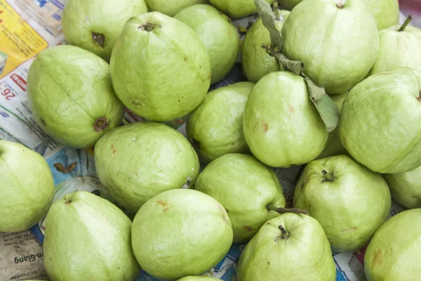 Guava — Stock Photo, Image