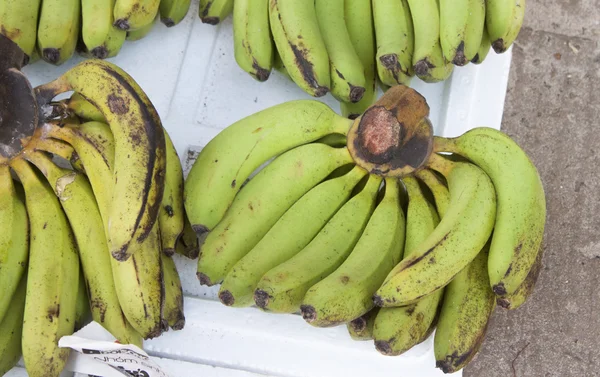 Green bananas — Stock Photo, Image