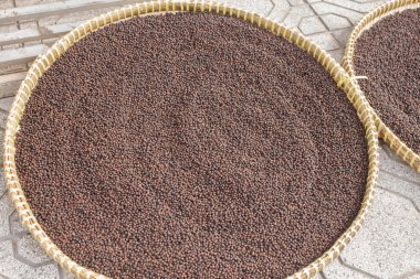 Kurutulmuş karabiber