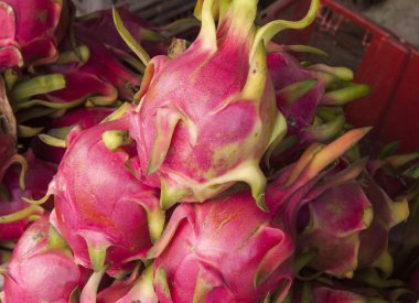 Dragon meyve bir Pazar