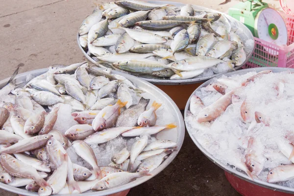 Mercato del pesce — Foto Stock