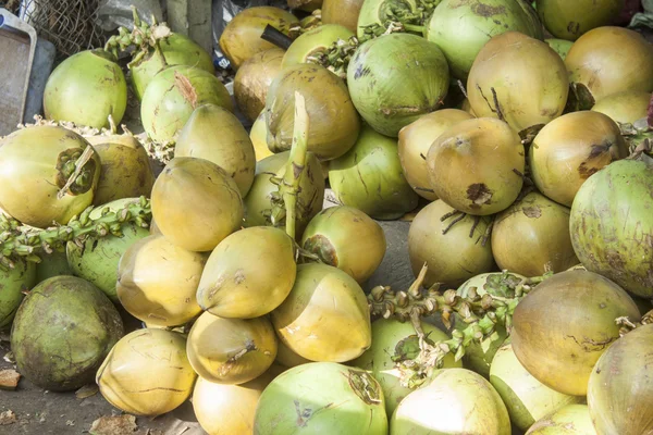 Cocco verde — Foto Stock