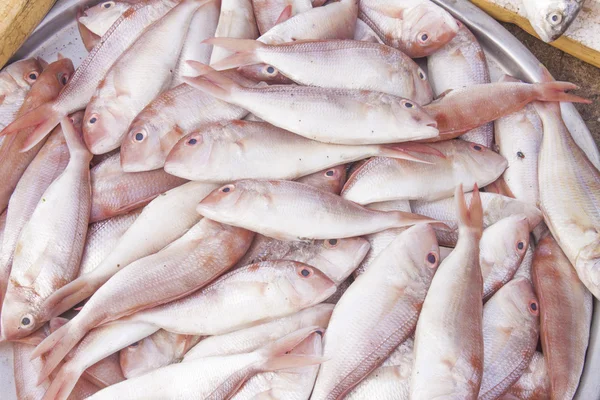 Mercado do peixe — Fotografia de Stock