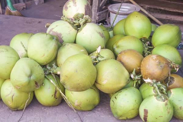 Noce di cocco verde — Foto Stock